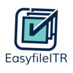 Easyfileitr Services Profile Picture