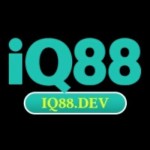 iq88 dev Profile Picture