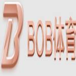 BOB体育 Profile Picture