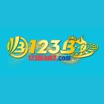 123blink2 Profile Picture
