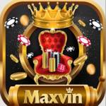 MAXVIN Profile Picture