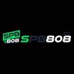 SPB808 Portal game Profile Picture