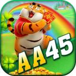 aa45 org Profile Picture