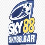 Sky88 Profile Picture