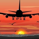 Elena Wolf Profile Picture