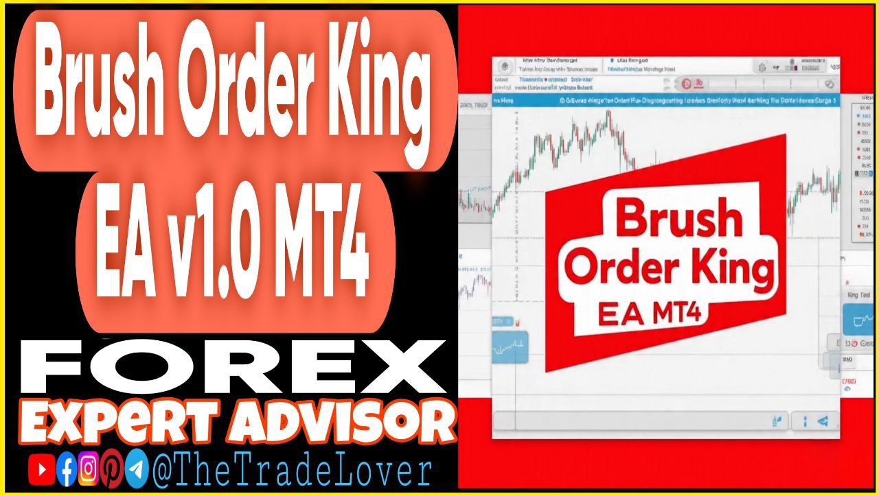 Brush Order King EA v1.0 MT4 (Works on Build 1441 ) | Forex Robot | MT4 Expert Advisor - Payhip