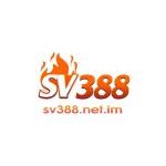 sv388 netim Profile Picture