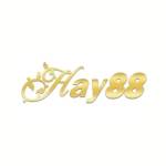 hay88 town Profile Picture