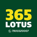 Lotus 365 exchange Profile Picture