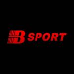 bsportimmo Profile Picture