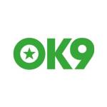 ok9 jogo plataforma de jogos online Profile Picture