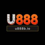 u888bio Profile Picture