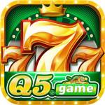 q5 game Profile Picture