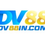 DV88 Profile Picture