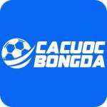 Cá Cược Bóng Đá Cá Cược Bóng Đá Profile Picture