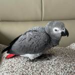 swiftcargoglobal Profile Picture