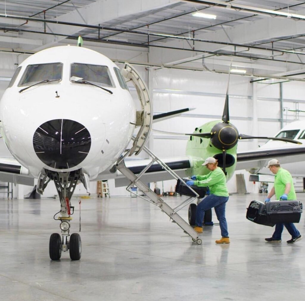 adoptar cachorros gratis-19