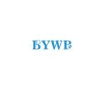 BYWB Bearing Profile Picture