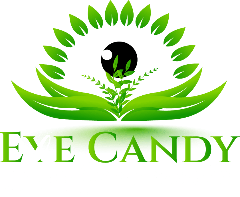 Edging Lawn Trimming Services Atlanta | Eye Candy Lawncare