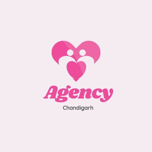 Agency Chandigarh Escorts Profile Picture