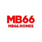 mb66homes Profile Picture