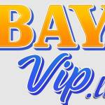 Bayvip li Profile Picture