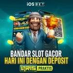 Bandar Slot Gaco Profile Picture