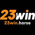 23WIN Profile Picture