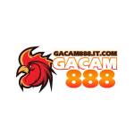 Gacam888 Profile Picture