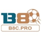 B8 B8 Profile Picture