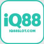 IQ88 Profile Picture
