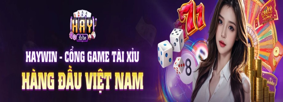 HAYWIN Cover Image