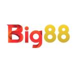 BIG88 yachts Profile Picture