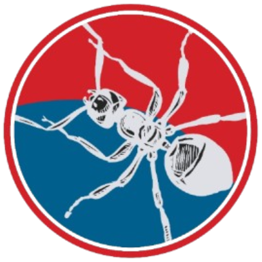 Top-Rated Fumigation Services In Karachi | Safe & Trusted