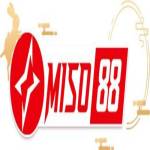 miso88 diy Profile Picture