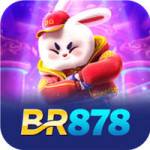 BR878 Profile Picture