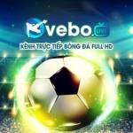 Vebo TV Truc Tiep Bong Da Profile Picture