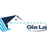 Mua bán nhà đất Gia Lai Profile Picture