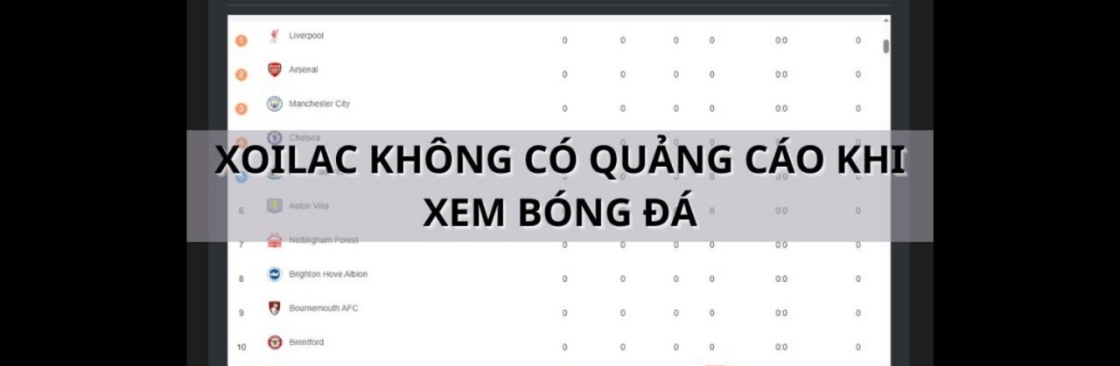 frogmouth8 Cover Image