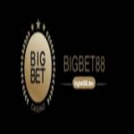 Bigbet88 dev Profile Picture