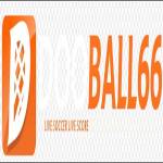 dooball66 Profile Picture