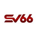 sv66rucom Profile Picture