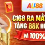 Sc88 fund Profile Picture