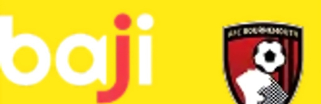 Baji 88co Cover Image