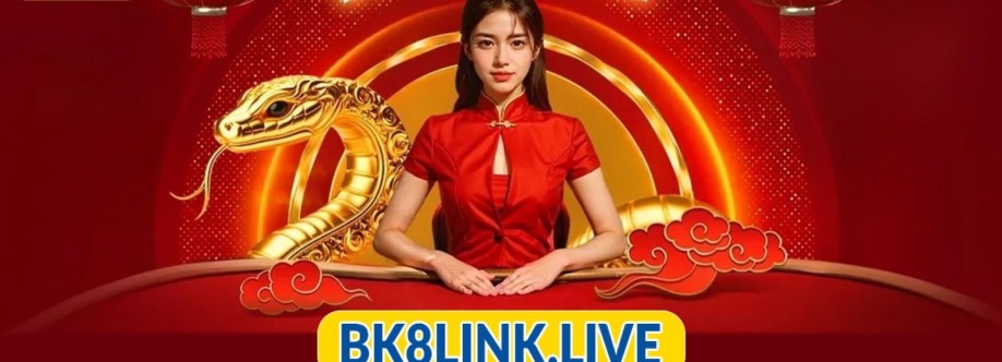 BK8 Link Cover Image