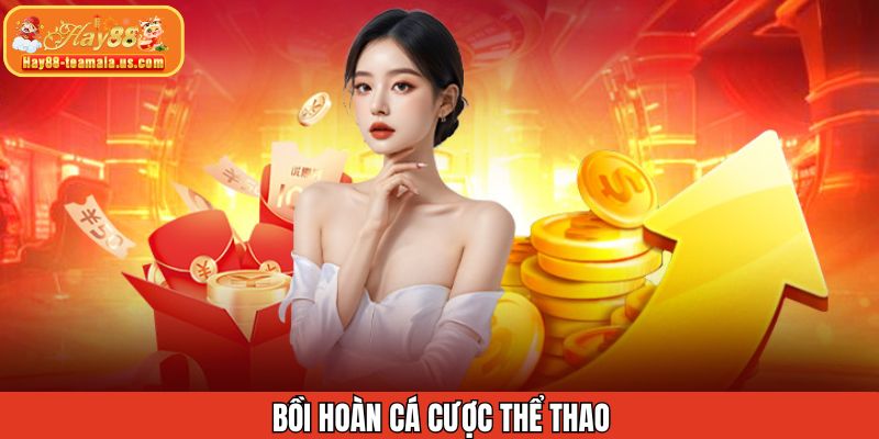 Thể Thao Hay88 - Nơi Mang Đến Chính Sách Bồi Hoàn Tốt Nhất