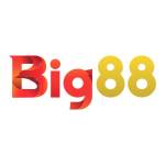 big88top profile picture