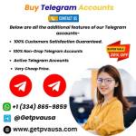 Trusted Source to Buy Telegram Accounts Safely in 2026 profile picture