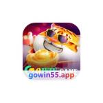 gowin55 Profile Picture