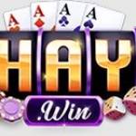 Haywin Profile Picture